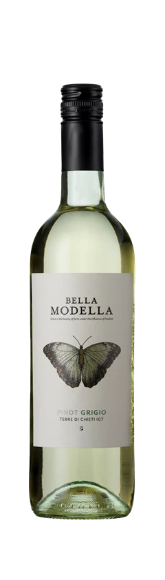 Bella Modella, Pinot Grigio, IGT Terre di Chieti, Abruzzo, Italy, 2023