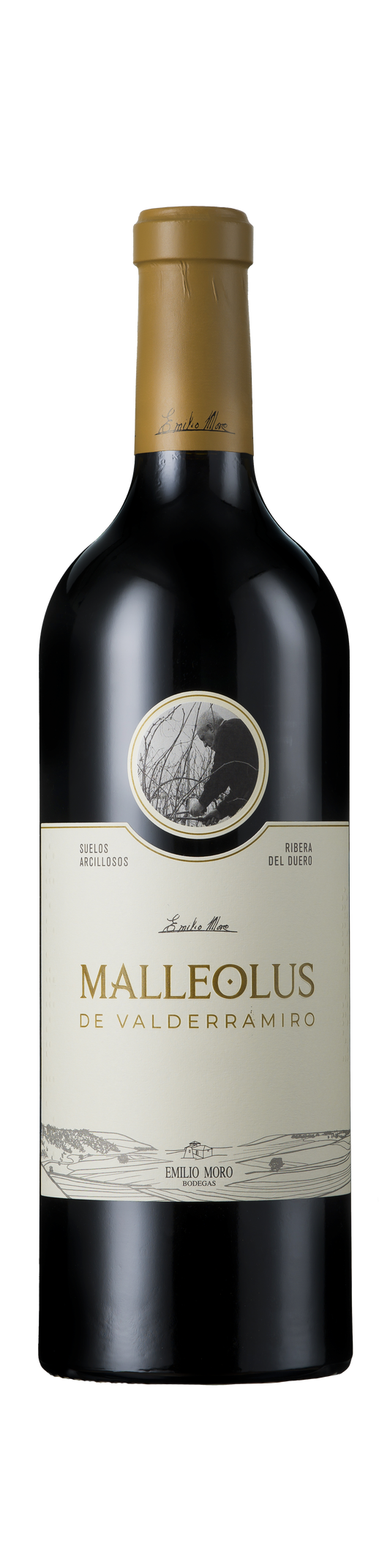 Malleolus de Valderramiro, DO Ribera del Duero, Bodegas Emilio Moro, Castilla y León, Spain, 2020