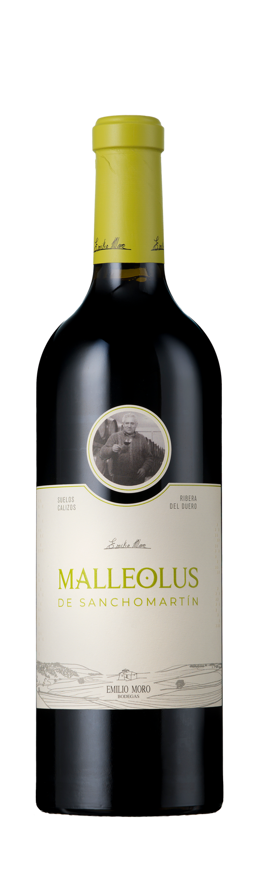 Malleolus de Sanchomartin, DO Ribera del Duero, Bodegas Emilio Moro, Castilla y León, Spain, 2020